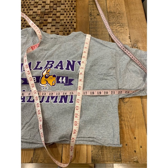 UNIV of ALBANY Alumni 1844 Mascot Cropped Tee-Shirt Grey Purple, XL - Picture 4 of 5